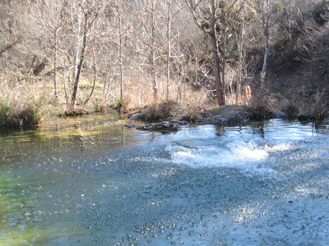 2015/02(February)/Troop214-Colorado-Bend-Philmont-prep/Pond-jump-sequences/640x480_2015-02-07-Colorado-Bend-Philmont-Prep-pond-jumping-215-Sebastian.JPG