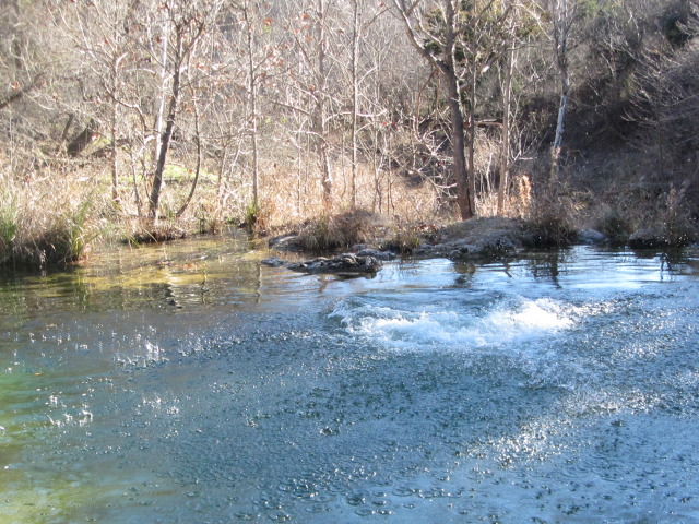 2015/02(February)/Troop214-Colorado-Bend-Philmont-prep/Pond-jump-sequences/640x480_2015-02-07-Colorado-Bend-Philmont-Prep-pond-jumping-216-Sebastian.JPG