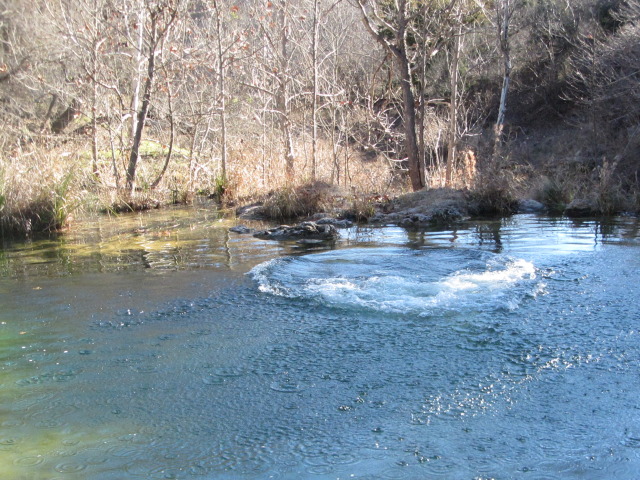 2015/02(February)/Troop214-Colorado-Bend-Philmont-prep/Pond-jump-sequences/640x480_2015-02-07-Colorado-Bend-Philmont-Prep-pond-jumping-219-Sebastian.JPG