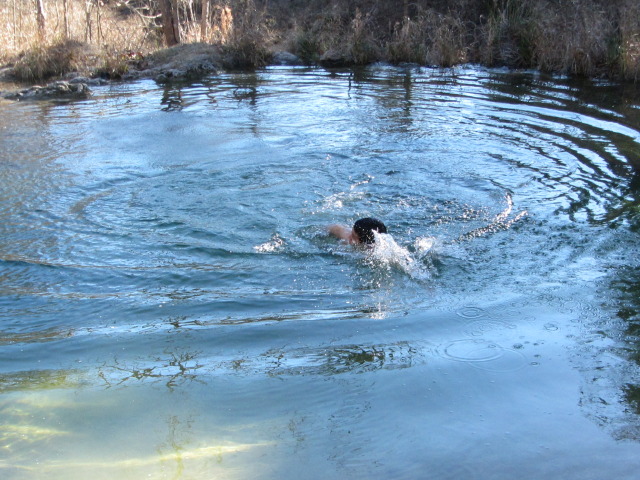 2015/02(February)/Troop214-Colorado-Bend-Philmont-prep/Pond-jump-sequences/640x480_2015-02-07-Colorado-Bend-Philmont-Prep-pond-jumping-276-Sebastian.JPG