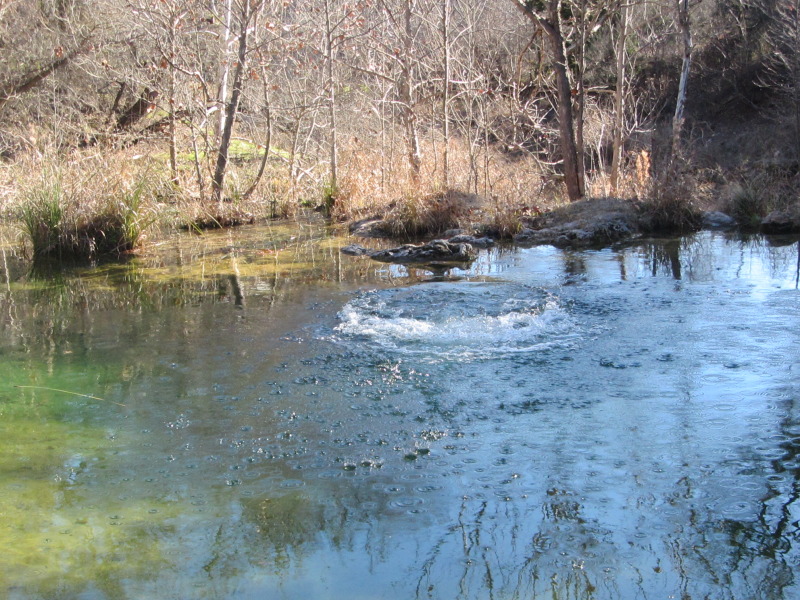 2015/02(February)/Troop214-Colorado-Bend-Philmont-prep/Pond-jump-sequences/800x600_2015-02-07-Colorado-Bend-Philmont-Prep-pond-jumping-024-Chance.JPG