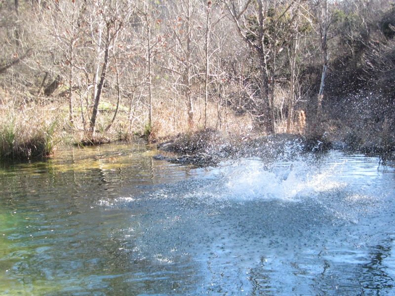 2015/02(February)/Troop214-Colorado-Bend-Philmont-prep/Pond-jump-sequences/800x600_2015-02-07-Colorado-Bend-Philmont-Prep-pond-jumping-212-Sebastian.JPG