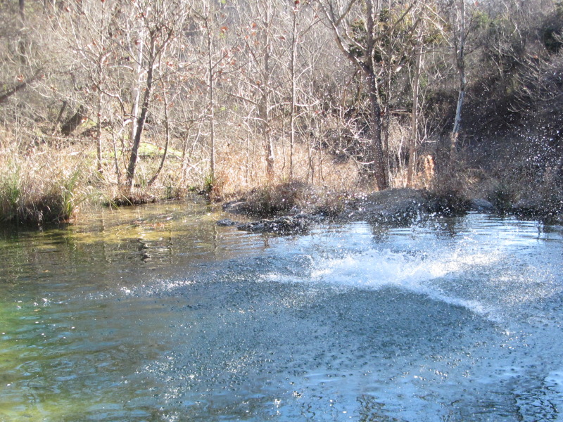 2015/02(February)/Troop214-Colorado-Bend-Philmont-prep/Pond-jump-sequences/800x600_2015-02-07-Colorado-Bend-Philmont-Prep-pond-jumping-213-Sebastian.JPG