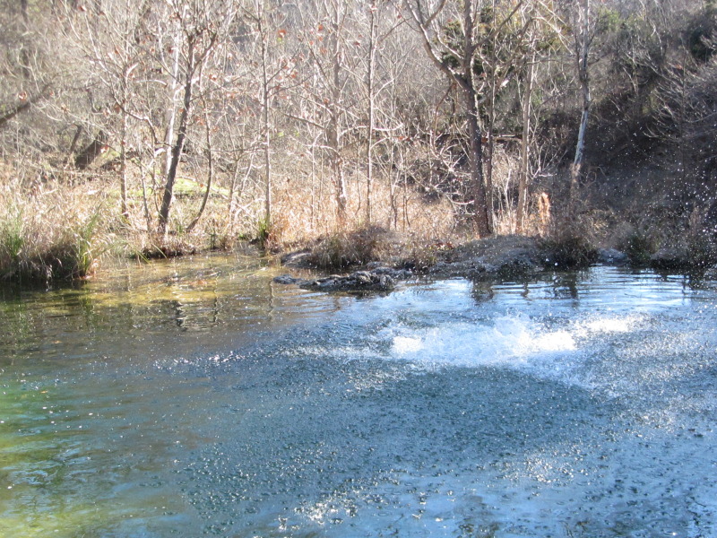 2015/02(February)/Troop214-Colorado-Bend-Philmont-prep/Pond-jump-sequences/800x600_2015-02-07-Colorado-Bend-Philmont-Prep-pond-jumping-214-Sebastian.JPG
