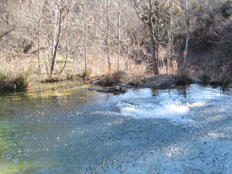 2015/02(February)/Troop214-Colorado-Bend-Philmont-prep/Pond-jump-sequences/800x600_2015-02-07-Colorado-Bend-Philmont-Prep-pond-jumping-215-Sebastian.JPG
