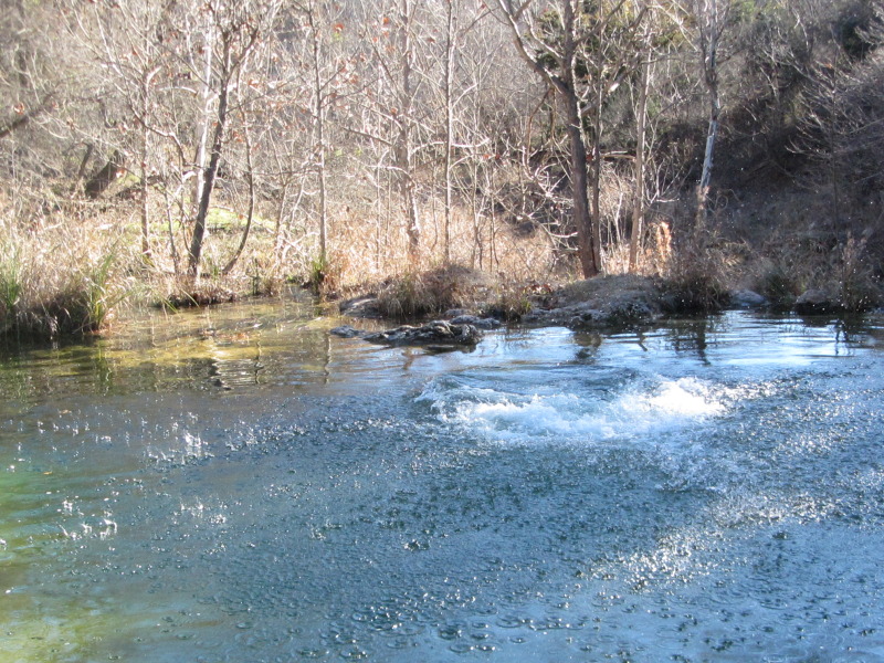 2015/02(February)/Troop214-Colorado-Bend-Philmont-prep/Pond-jump-sequences/800x600_2015-02-07-Colorado-Bend-Philmont-Prep-pond-jumping-216-Sebastian.JPG