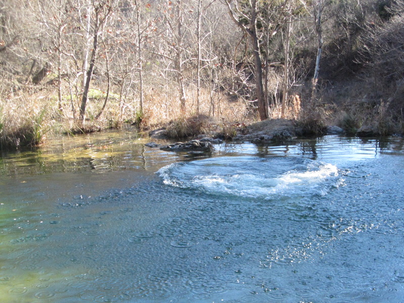 2015/02(February)/Troop214-Colorado-Bend-Philmont-prep/Pond-jump-sequences/800x600_2015-02-07-Colorado-Bend-Philmont-Prep-pond-jumping-219-Sebastian.JPG