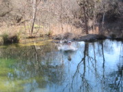 2015-02-07-Colorado-Bend-Philmont-Prep-pond-jumping-017-Chance.JPG