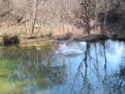 2015-02-07-Colorado-Bend-Philmont-Prep-pond-jumping-018-Chance.JPG