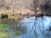 2015-02-07-Colorado-Bend-Philmont-Prep-pond-jumping-019-Chance.JPG