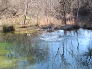 2015-02-07-Colorado-Bend-Philmont-Prep-pond-jumping-020-Chance.JPG
