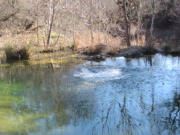 2015-02-07-Colorado-Bend-Philmont-Prep-pond-jumping-022-Chance.JPG