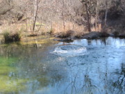 2015-02-07-Colorado-Bend-Philmont-Prep-pond-jumping-023-Chance.JPG
