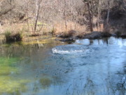 2015-02-07-Colorado-Bend-Philmont-Prep-pond-jumping-025-Chance.JPG