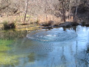 2015-02-07-Colorado-Bend-Philmont-Prep-pond-jumping-032-Chance.JPG