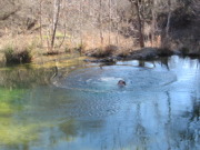 2015-02-07-Colorado-Bend-Philmont-Prep-pond-jumping-034-Chance.JPG