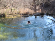 2015-02-07-Colorado-Bend-Philmont-Prep-pond-jumping-049-Chance.JPG