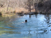 2015-02-07-Colorado-Bend-Philmont-Prep-pond-jumping-066-Chance.JPG