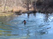 2015-02-07-Colorado-Bend-Philmont-Prep-pond-jumping-076-Chance.JPG
