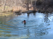 2015-02-07-Colorado-Bend-Philmont-Prep-pond-jumping-077-Chance.JPG
