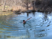 2015-02-07-Colorado-Bend-Philmont-Prep-pond-jumping-079-Chance.JPG