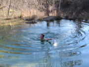 2015-02-07-Colorado-Bend-Philmont-Prep-pond-jumping-081-Chance.JPG