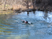 2015-02-07-Colorado-Bend-Philmont-Prep-pond-jumping-084-Chance.JPG