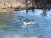 2015-02-07-Colorado-Bend-Philmont-Prep-pond-jumping-090-Chance.JPG