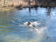 2015-02-07-Colorado-Bend-Philmont-Prep-pond-jumping-095-Chance.JPG