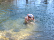 2015-02-07-Colorado-Bend-Philmont-Prep-pond-jumping-160-Chance.JPG