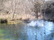 2015-02-07-Colorado-Bend-Philmont-Prep-pond-jumping-209-Sebastian.JPG
