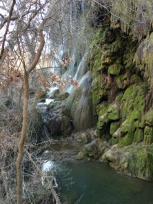 2015-02-08-Philmont-Shakedown2-Colorado-Bend-State-Park-08.JPG