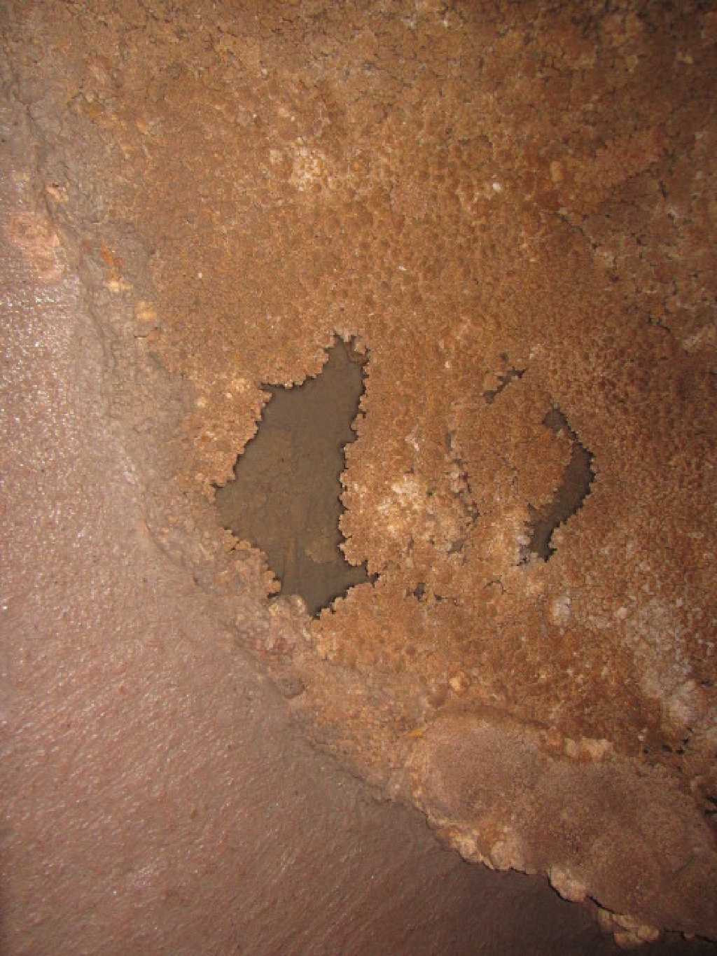 2015/02(February)/Troop214-Davis-Mountains/1024x768_2015-02-14-Troop214-Davis-Mountains-061-Cave.JPG