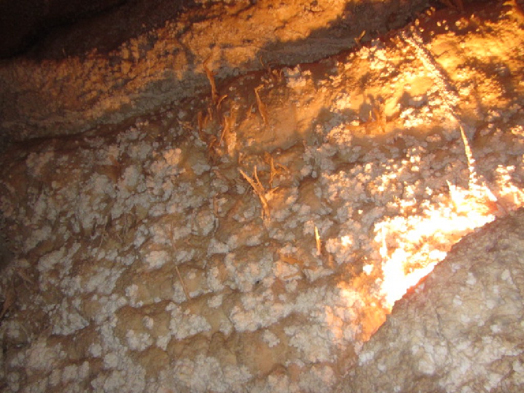 2015/02(February)/Troop214-Davis-Mountains/1024x768_2015-02-14-Troop214-Davis-Mountains-062-Cave.JPG