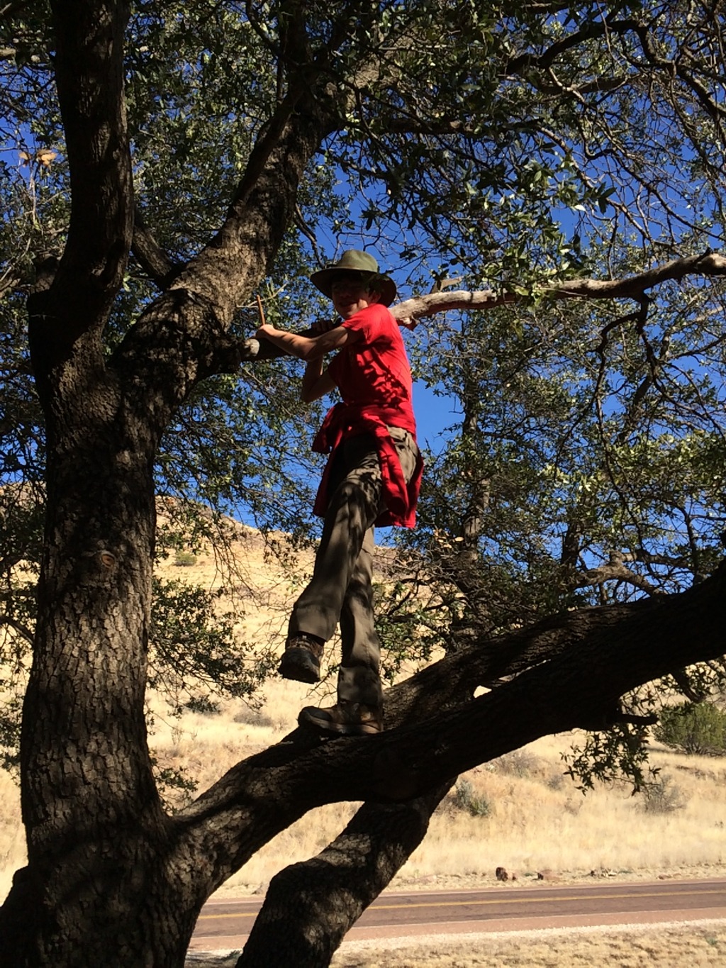 2015/02(February)/Troop214-Davis-Mountains/1024x768_2015-02-15-Troop214-Davis-Mountains-003-Tyler.JPG