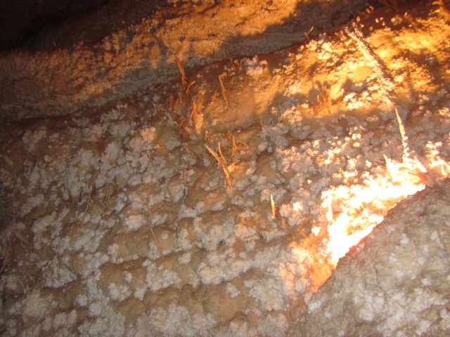 2015/02(February)/Troop214-Davis-Mountains/640x480_2015-02-14-Troop214-Davis-Mountains-062-Cave.JPG