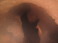 2015-02-14-Troop214-Davis-Mountains-017-Cave.JPG