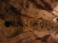2015-02-14-Troop214-Davis-Mountains-032-Cave.JPG