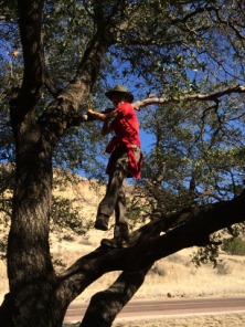 2015-02-15-Troop214-Davis-Mountains-003-Tyler.JPG
