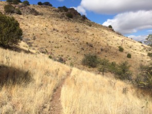 2015-02-15-Troop214-Davis-Mountains-004.JPG