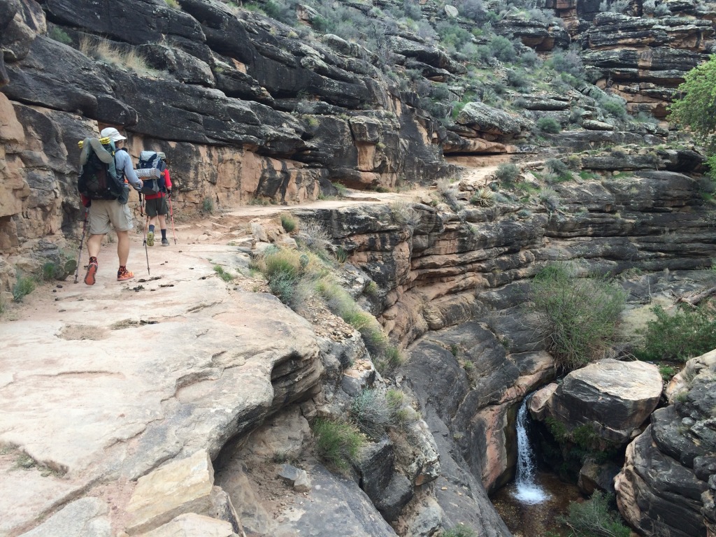 2015-03-18-Grand-Canyon-4star-19-Carl-Dax.jpg
