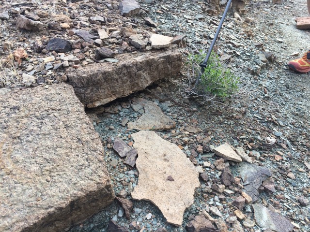 2015-03-19-Grand-Canyon-4star-03-snake.jpg