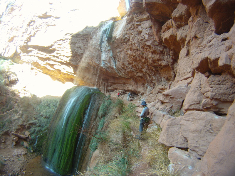2015/03(March)/Grand-Canyon/4star/800x600_2015-03-17-Grand-Canyon-4star-14-Ribbon-Falls-Dax-Connor-Carl.jpg