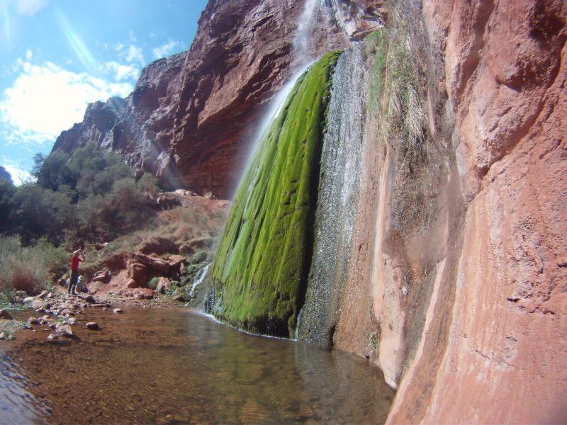 2015/03(March)/Grand-Canyon/4star/800x600_2015-03-17-Grand-Canyon-4star-51-Ribbon-Falls-Travis.jpg