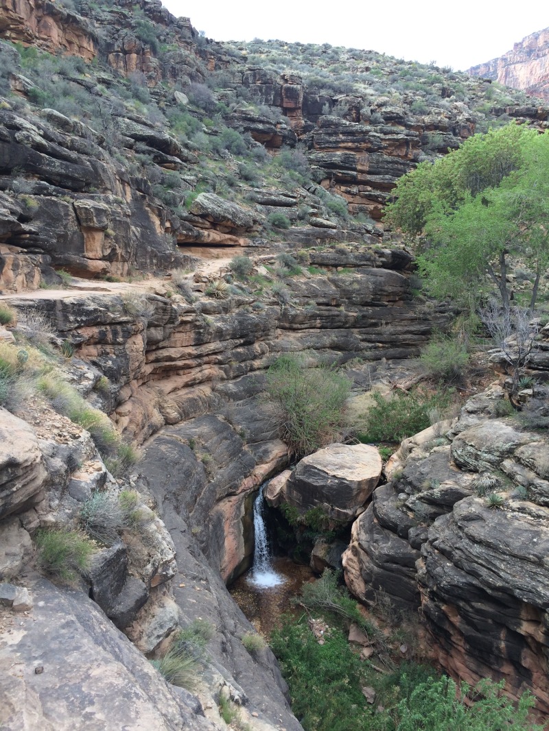 2015-03-18-Grand-Canyon-4star-18-Landscape.jpg