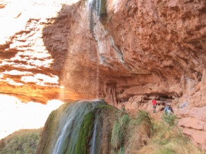 2015-03-17-Grand-Canyon-4star-17-Ribbon-Falls-Dax-Carl.jpg