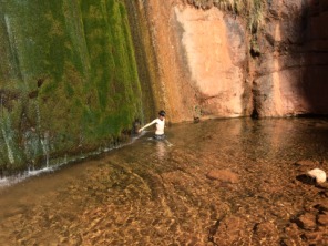 2015-03-17-Grand-Canyon-4star-42-Ribbon-Falls-Dax.jpg
