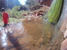 2015-03-17-Grand-Canyon-4star-50-Ribbon-Falls-Dax.jpg