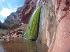 2015-03-17-Grand-Canyon-4star-51-Ribbon-Falls-Travis.jpg