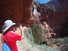 2015-03-17-Grand-Canyon-4star-53-Ribbon-Falls-Travis-Dax.jpg
